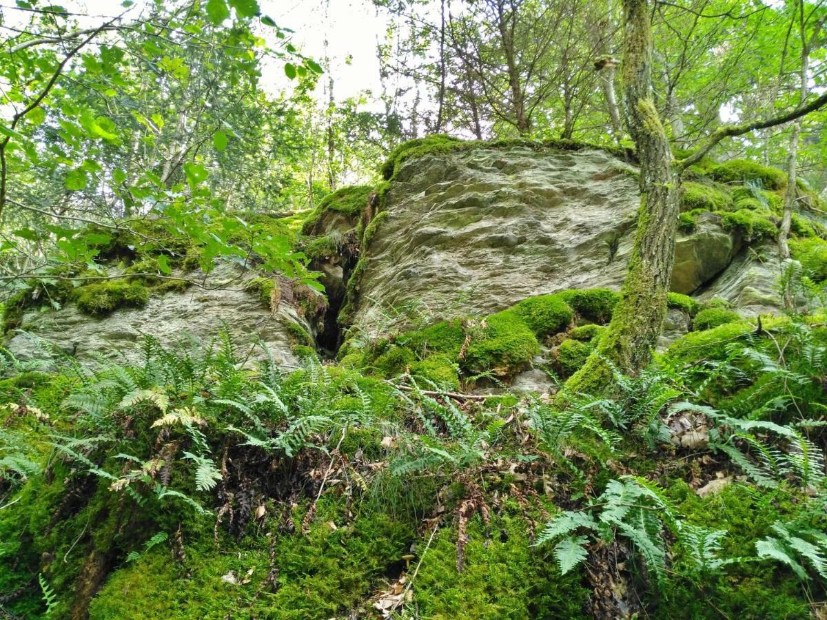 FeWo WELL Gladenbach Exterior foto