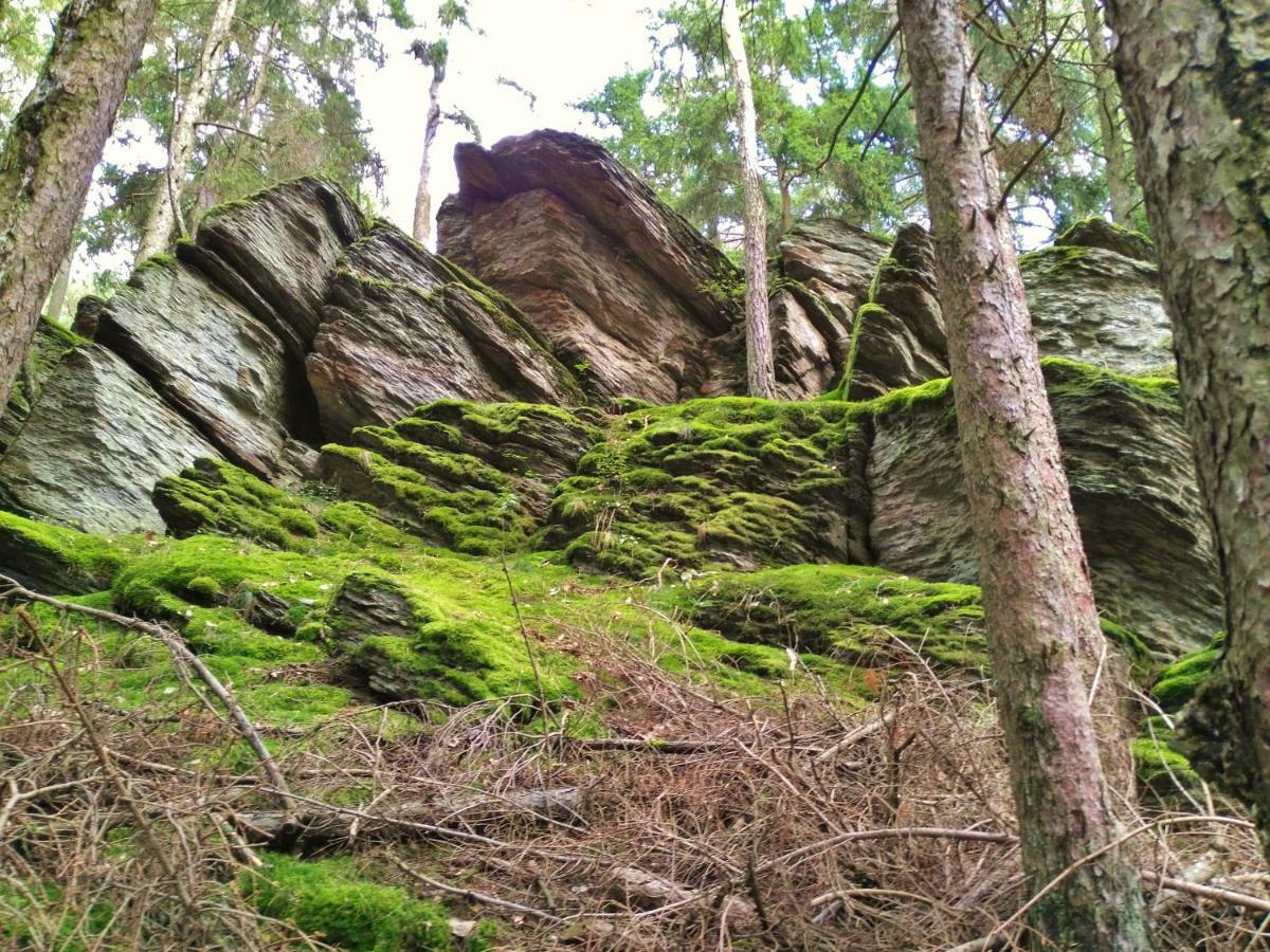 FeWo WELL Gladenbach Exterior foto